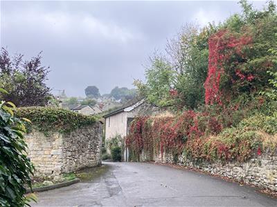 Picture 28